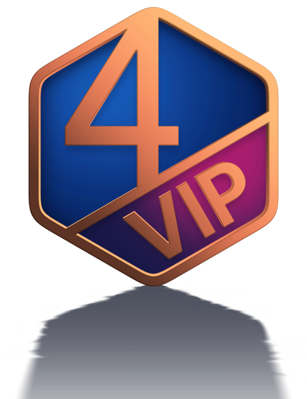 Zugriff Icon